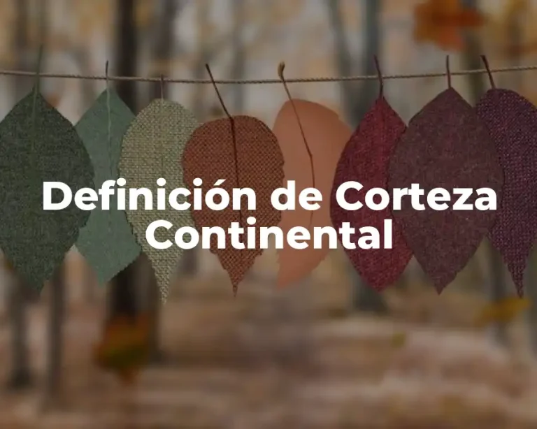 Definición de Corteza Continental