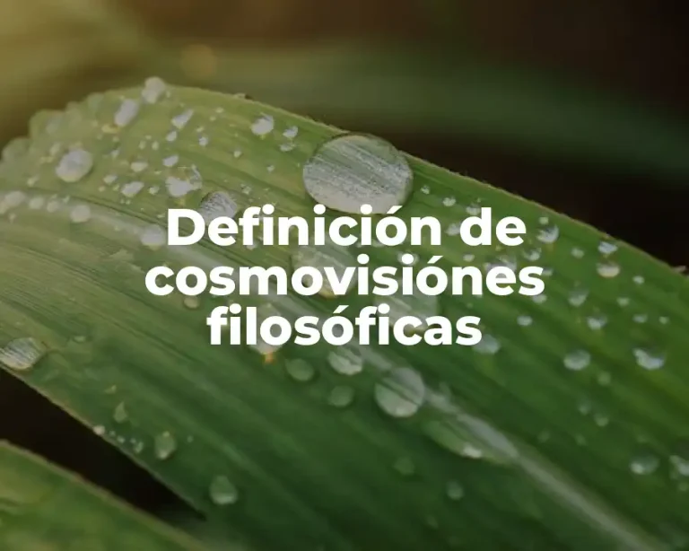 Definición de cosmovisiónes filosóficas