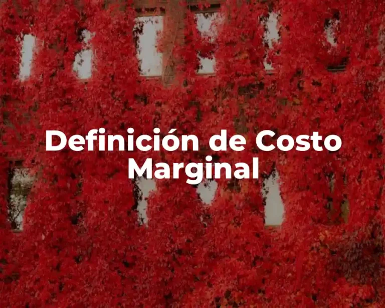 Definición de Costo Marginal