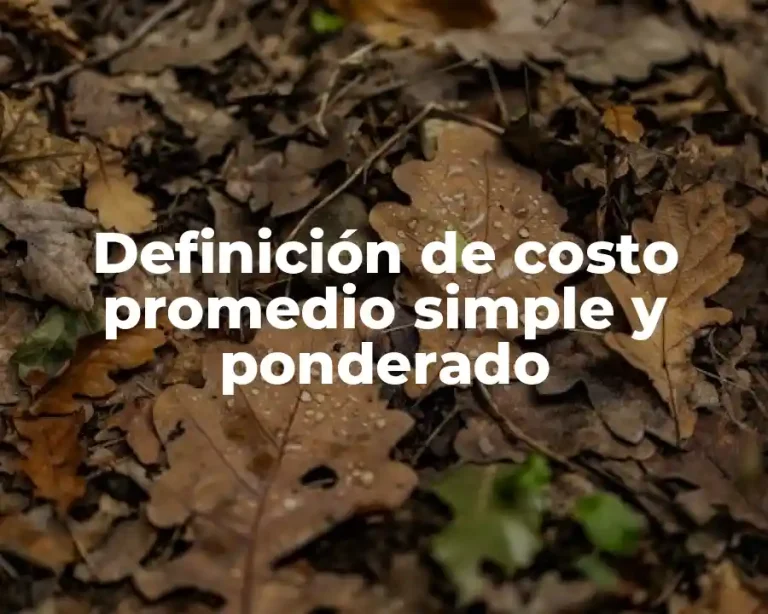 Definición de costo promedio simple y ponderado