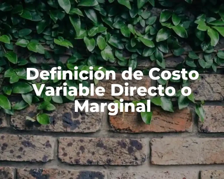 Definición de Costo Variable Directo o Marginal