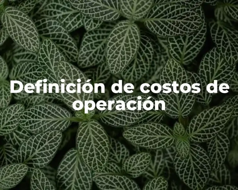 Definición de costos de operación