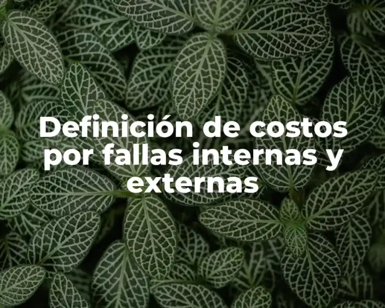Definición de costos por fallas internas y externas