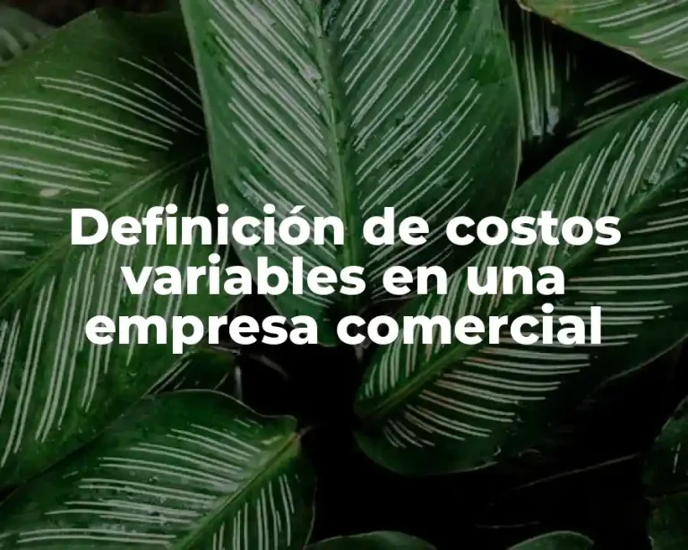 Definición de costos variables en una empresa comercial