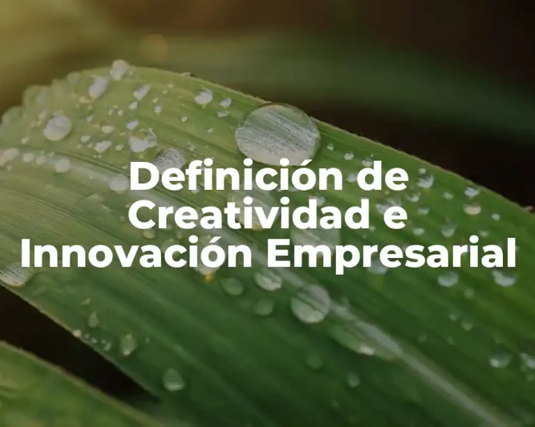 Definición de Creatividad e Innovación Empresarial