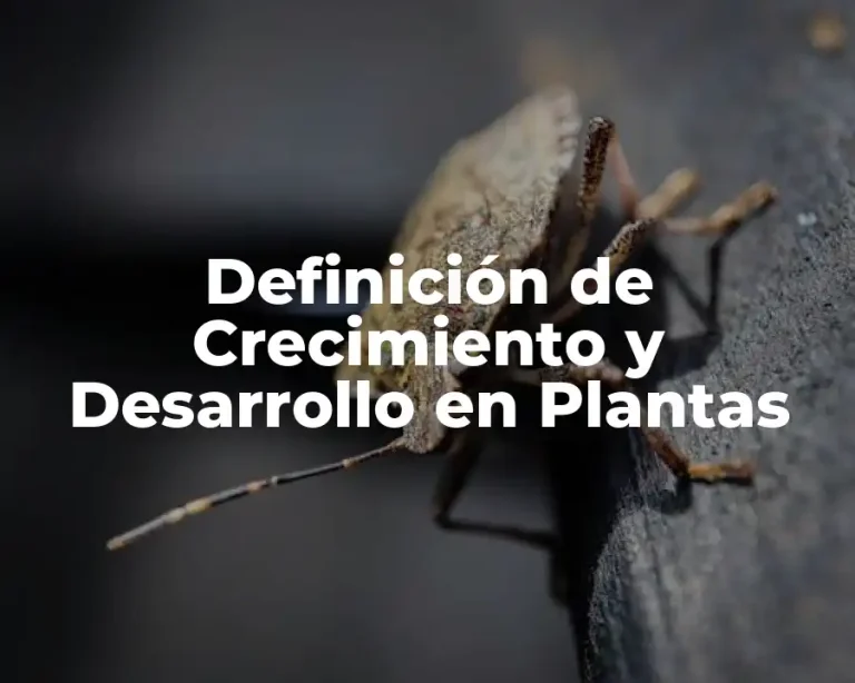 Definición de Crecimiento y Desarrollo en Plantas