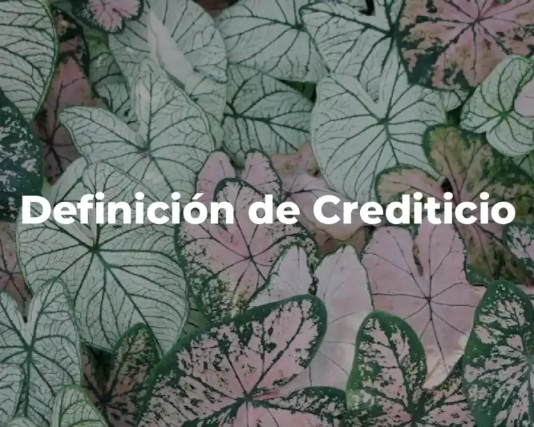 Definición de Crediticio