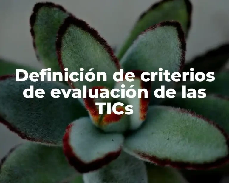 Definición de criterios de evaluación de las TICs
