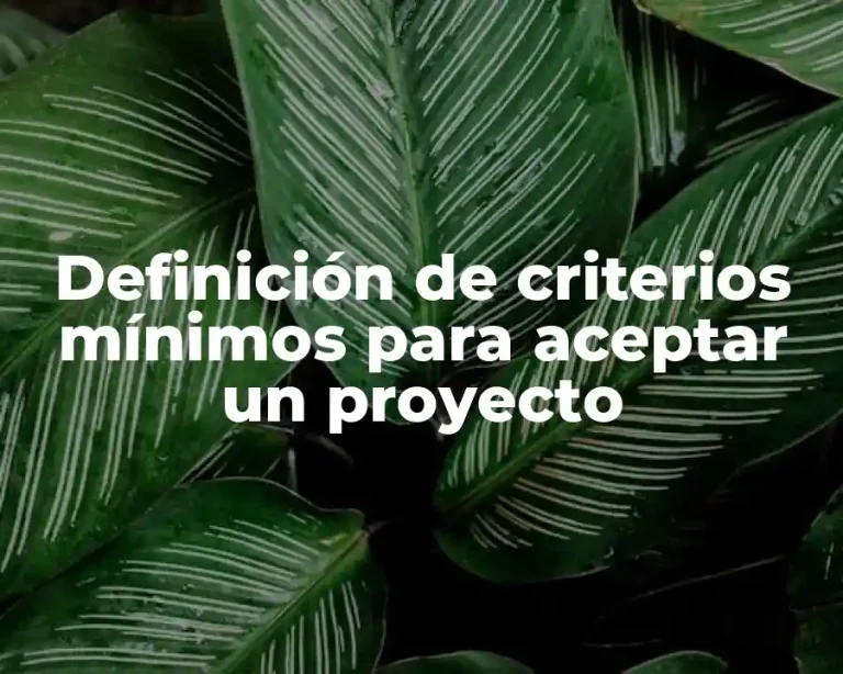 Definición de criterios mínimos para aceptar un proyecto