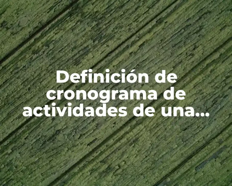Definición de cronograma de actividades de una empresa constructora