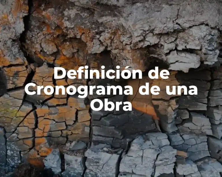 Definición de Cronograma de una Obra