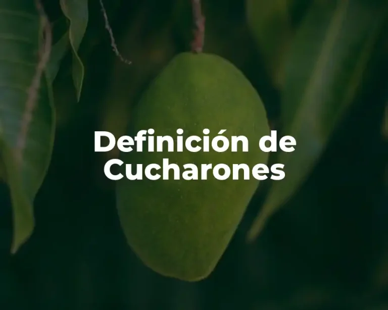 Definición de Cucharones