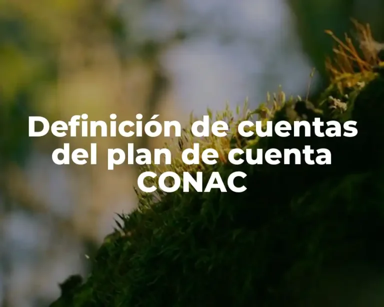 Definición de cuentas del plan de cuenta CONAC