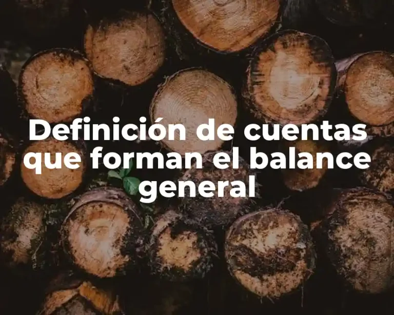 Definición de cuentas que forman el balance general