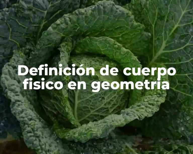 Definición de cuerpo fisico en geometria