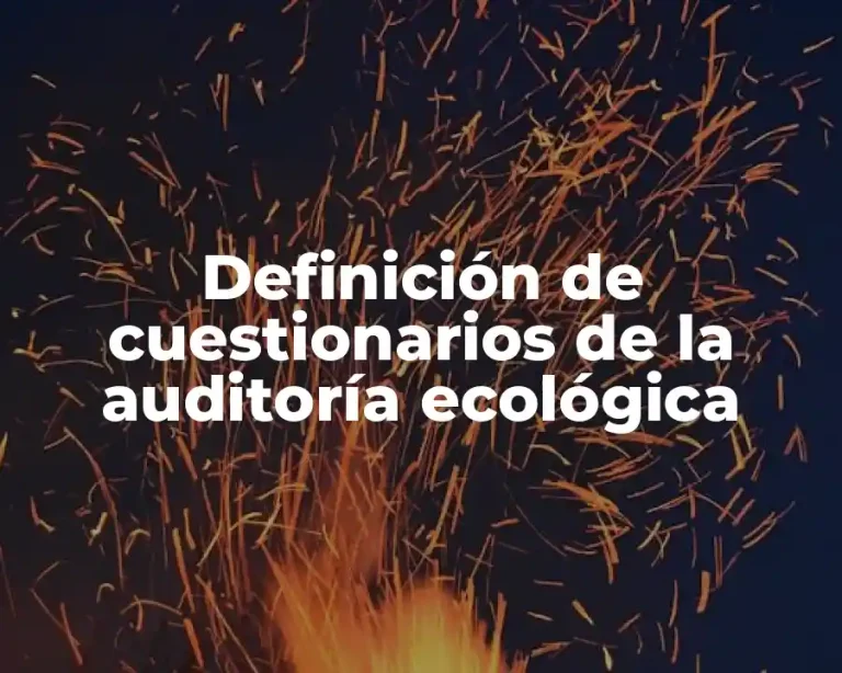 Definición de cuestionarios de la auditoría ecológica