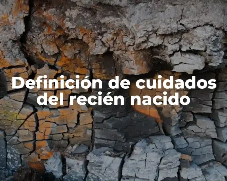 Definición de cuidados del recién nacido