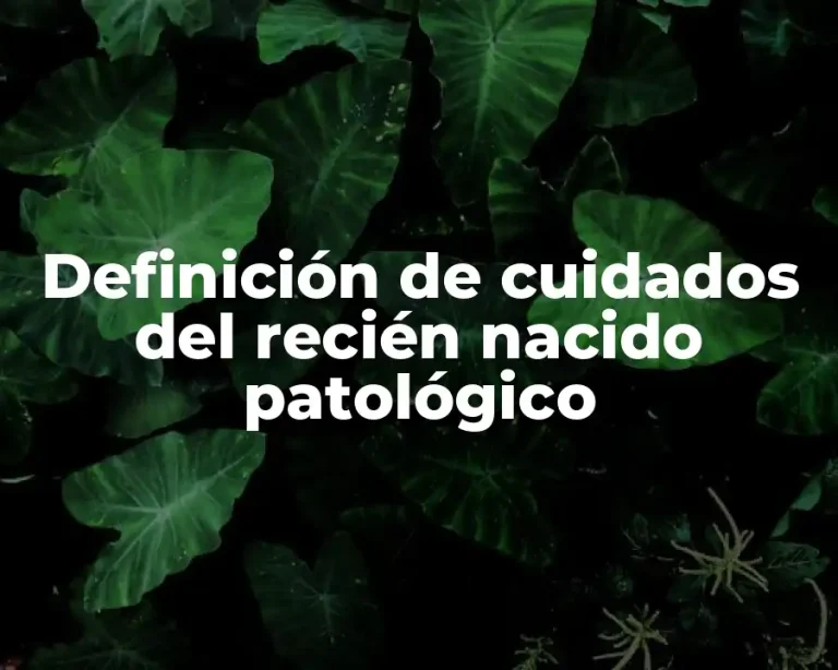 Definición de cuidados del recién nacido patológico