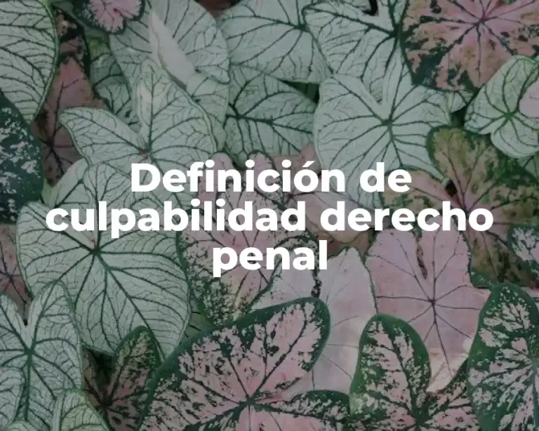 Definición de culpabilidad derecho penal
