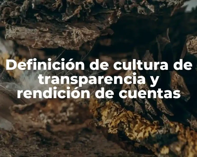Definición de cultura de transparencia y rendición de cuentas