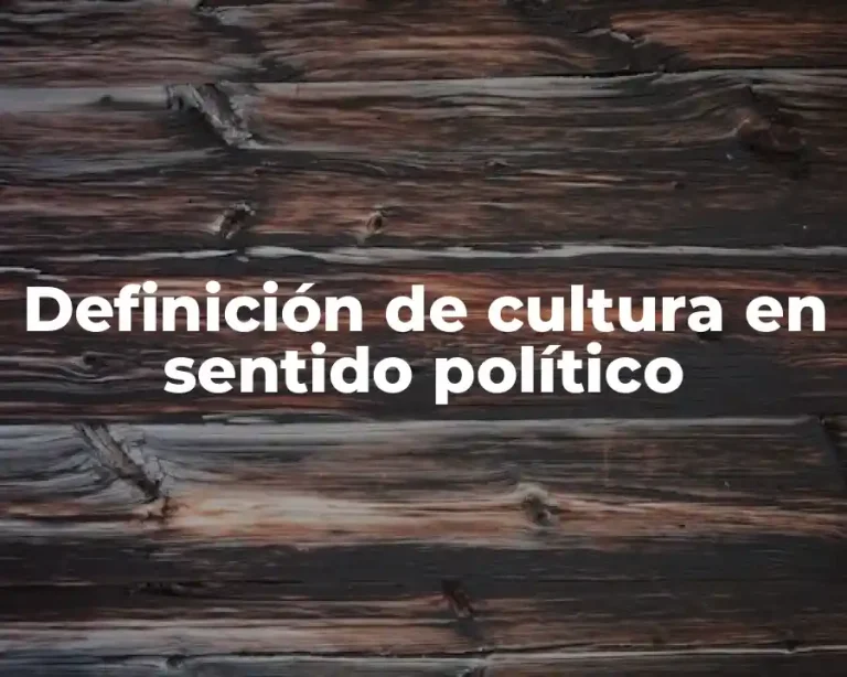 Definición de cultura en sentido político
