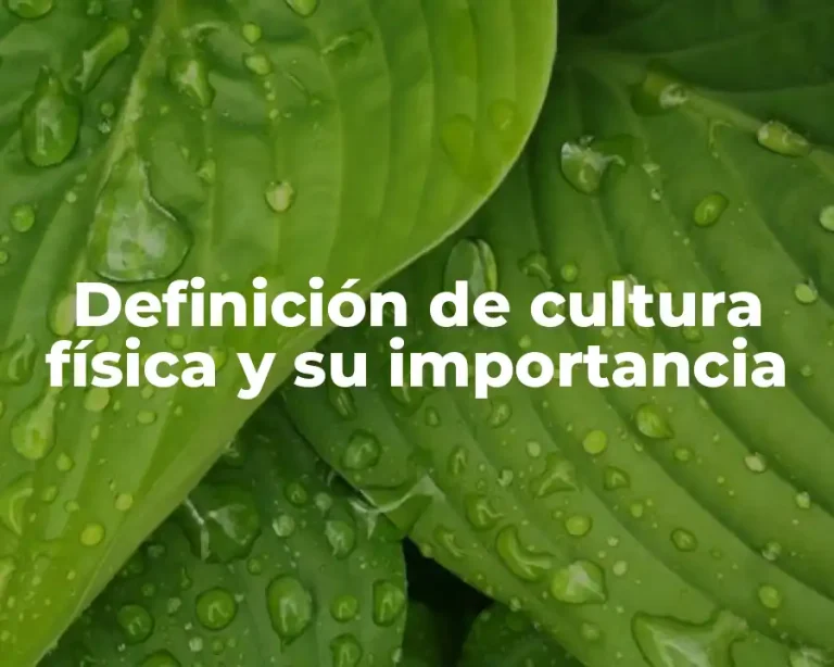Definición de cultura física y su importancia