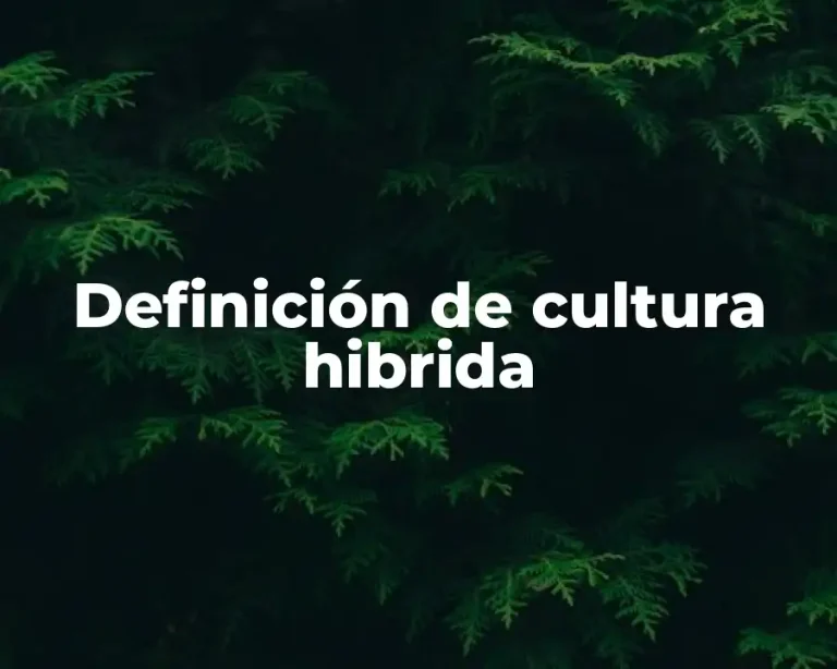 Definición de cultura hibrida