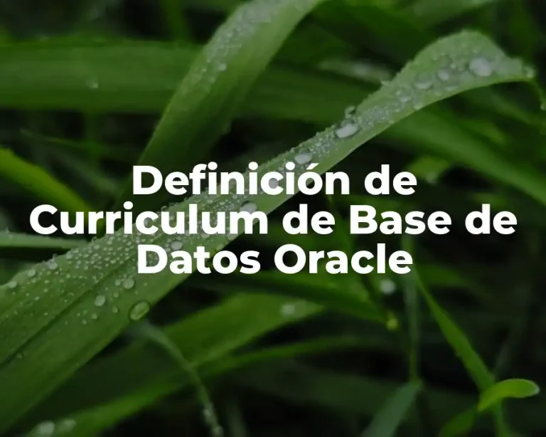Definición de Curriculum de Base de Datos Oracle