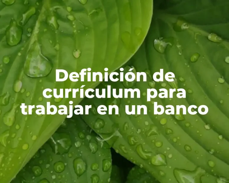 Definición de currículum para trabajar en un banco