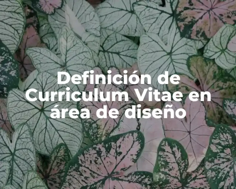 Definición de Curriculum Vitae en área de diseño