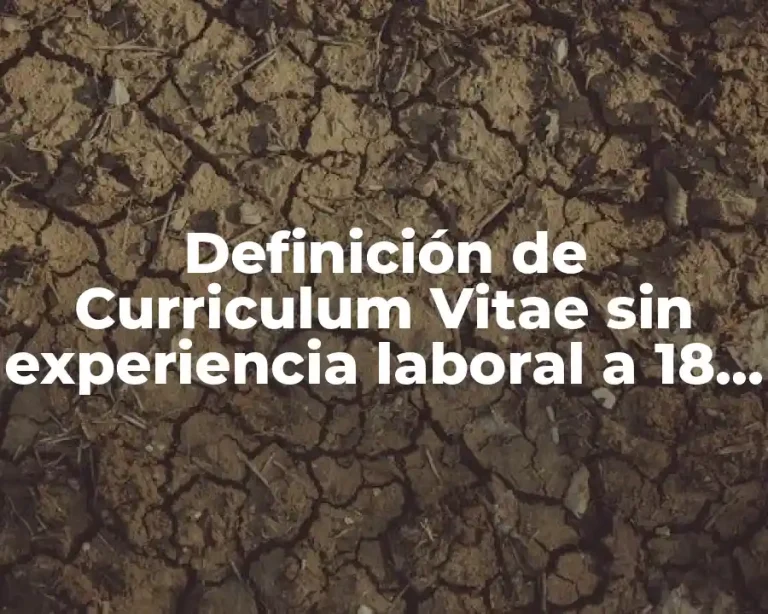 Definición de Curriculum Vitae sin experiencia laboral a 18 años
