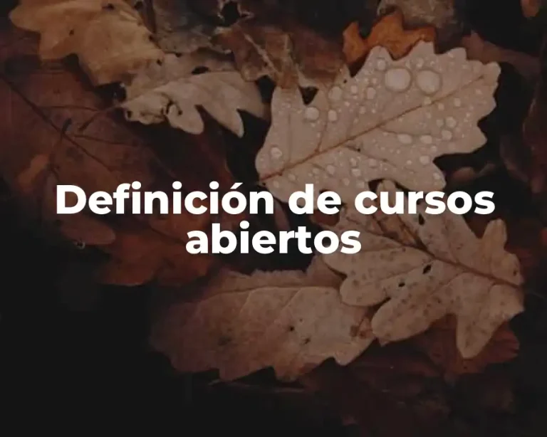 Definición de cursos abiertos