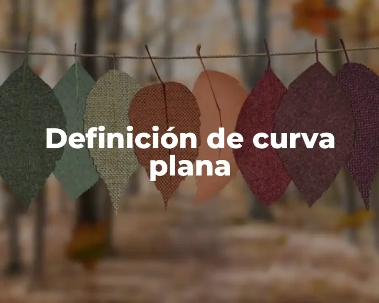 Definición de curva plana