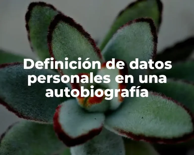 Definición de datos personales en una autobiografía