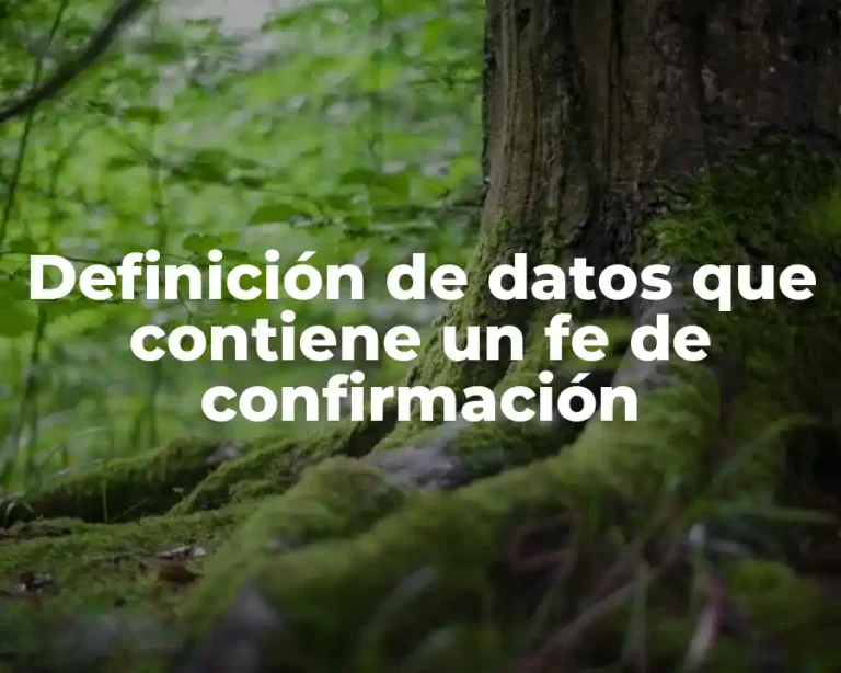 Definición de datos que contiene un fe de confirmación