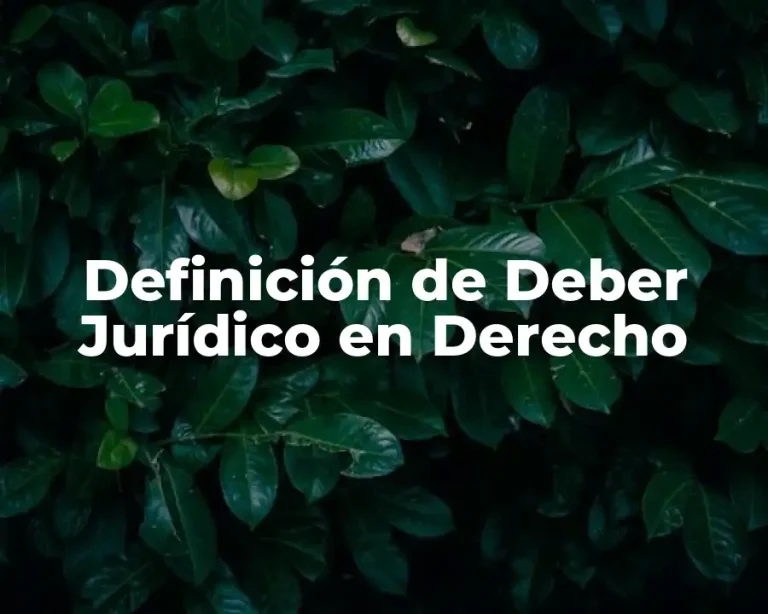 Definición de Deber Jurídico en Derecho