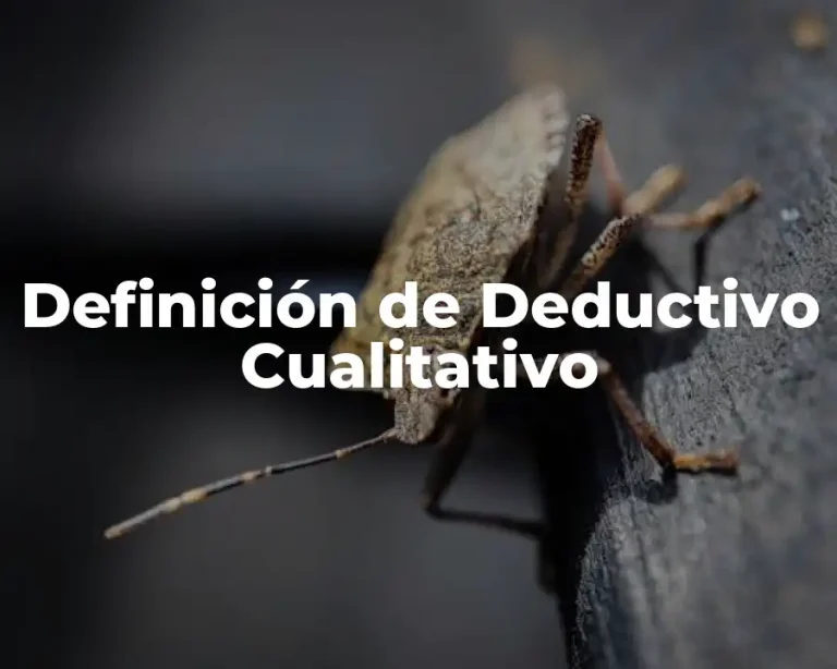 Definición de Deductivo Cualitativo