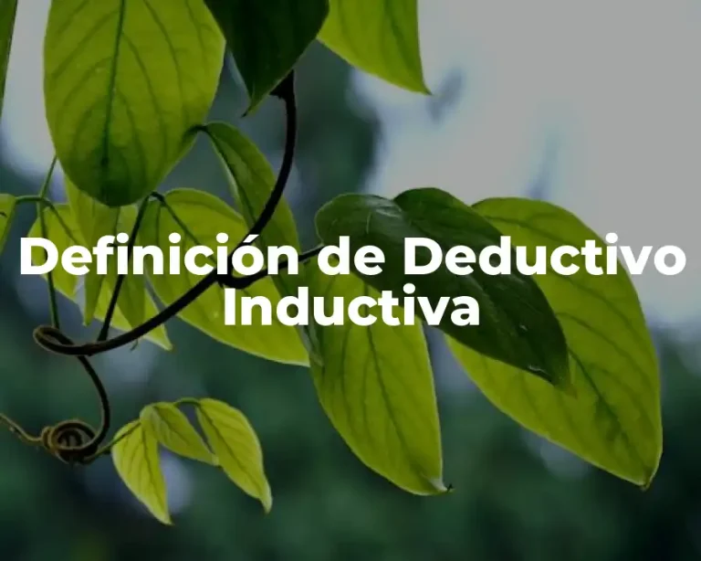 Definición de Deductivo Inductiva