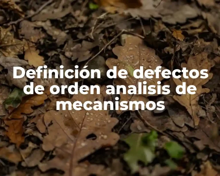 Definición de defectos de orden analisis de mecanismos