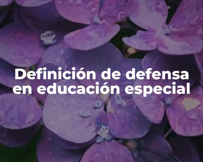 Definición de defensa en educación especial