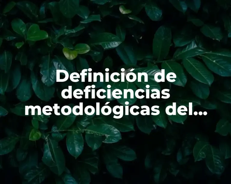 Definición de deficiencias metodológicas del profesorado
