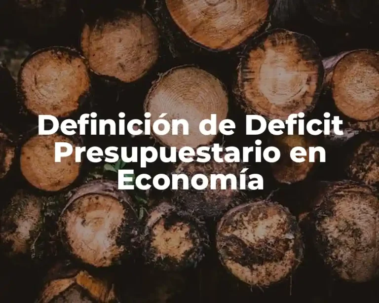 Definición de Deficit Presupuestario en Economía