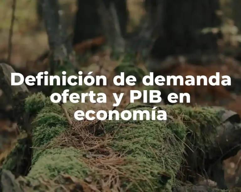 Definición de demanda oferta y PIB en economía