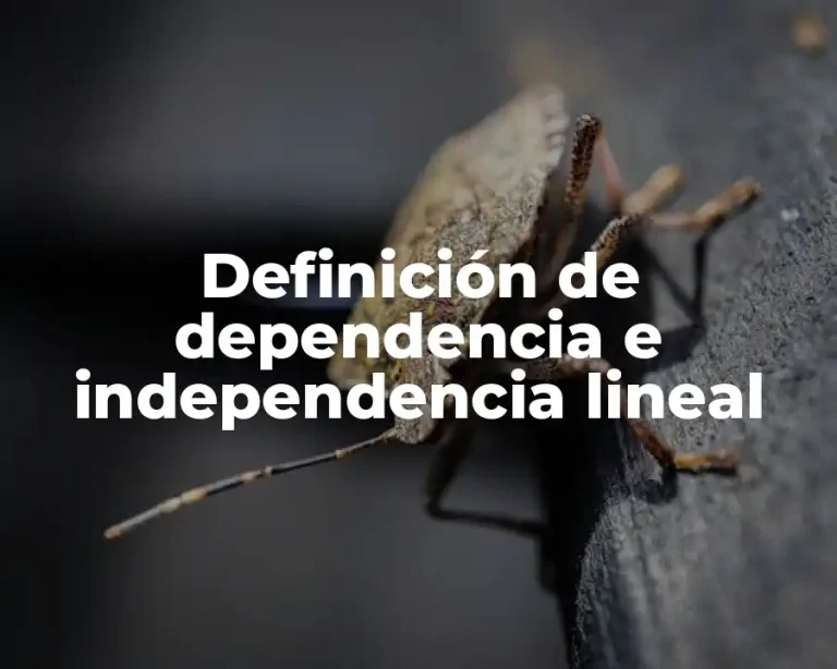 Definición de dependencia e independencia lineal