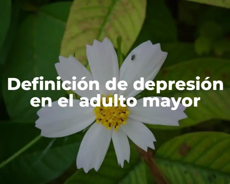 Definición de depresión en el adulto mayor