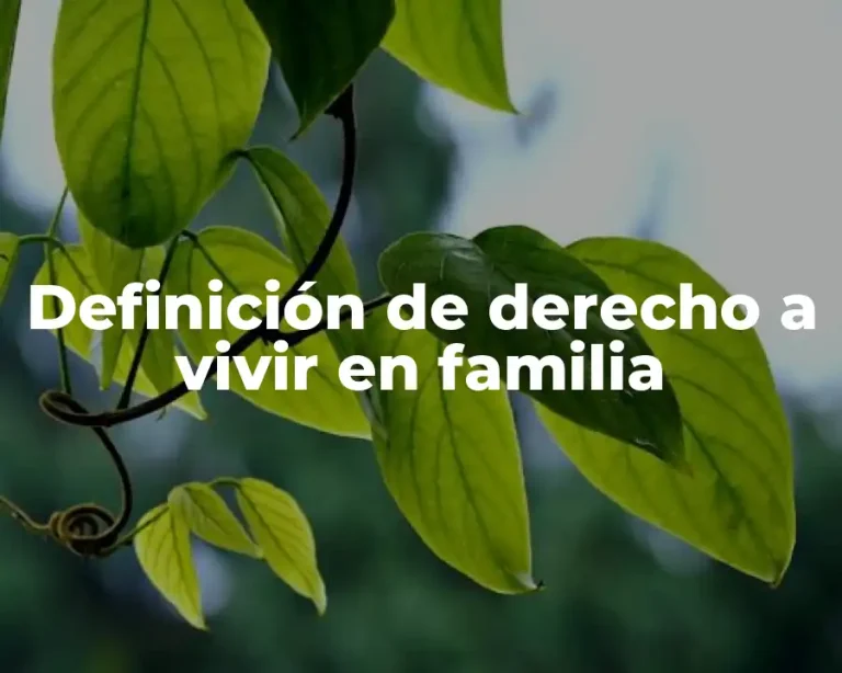 Definición de derecho a vivir en familia
