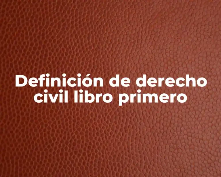 Definición de derecho civil libro primero