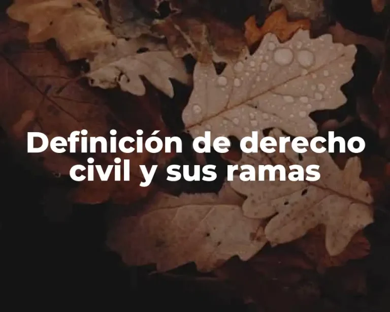 Definición de derecho civil y sus ramas