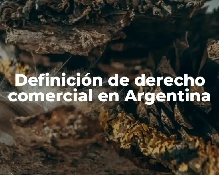 Definición de derecho comercial en Argentina