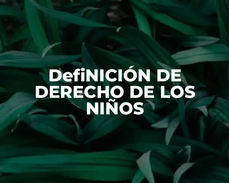 DefiNICIÓN DE DERECHO DE LOS NIÑOS